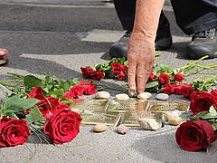 image-4921